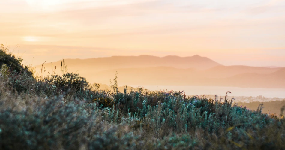 10 Best Things to Do in San Francisco