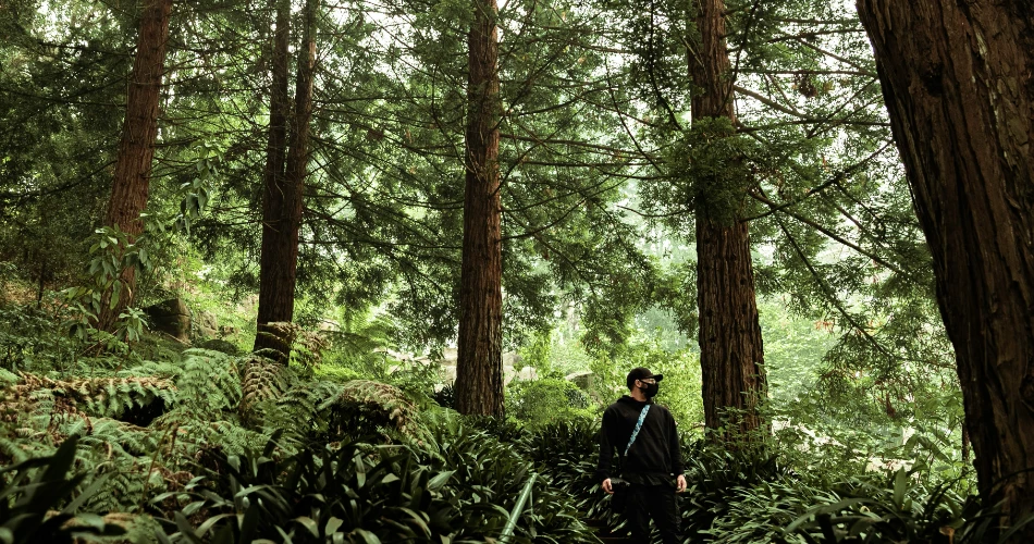 10 Best Things to Do in San Francisco
