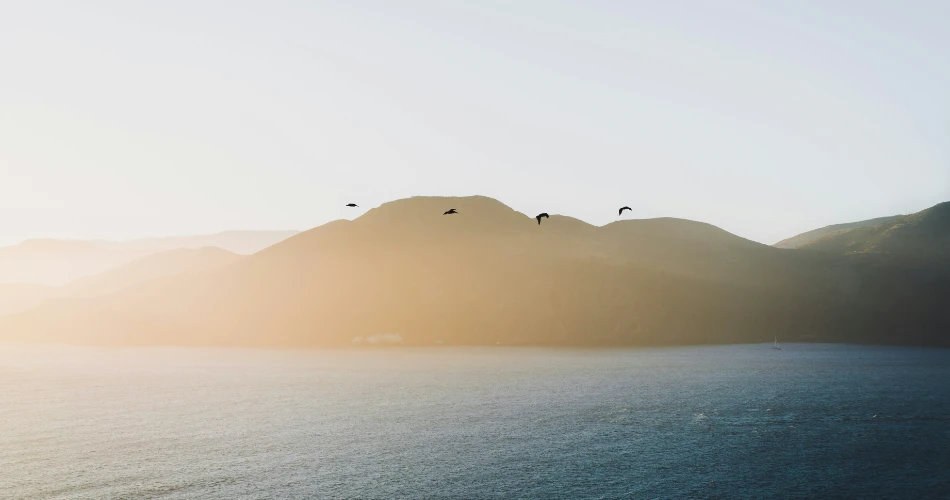 10 Best Things to Do in San Francisco