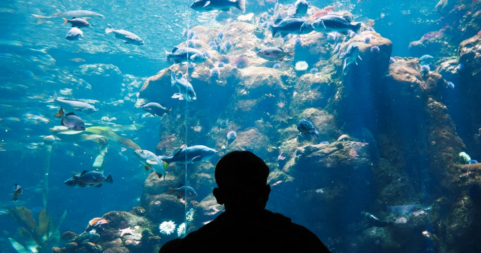10 Best Things to Do in San Francisco